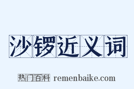 沙锣近义词是什么意思的图片